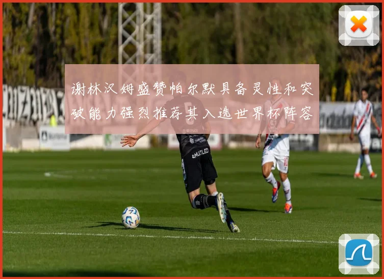 谢林汉姆盛赞帕尔默具备灵性和突破能力强烈推荐其入选世界杯阵容